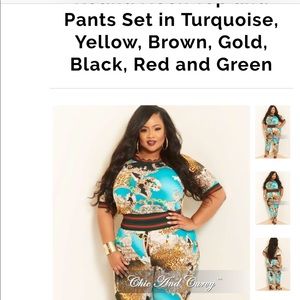 Chic and Curvy Two Piece Pant Set sz 3X